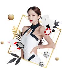 小入视频客户端